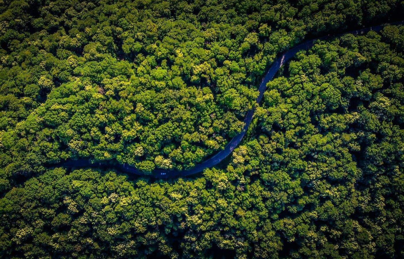 Crédito de carbono pode movimentar US$ 50 bi até 2030